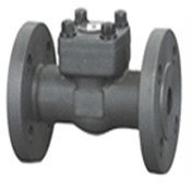 Casting Steel Manual Dn100 Globe Check Valve Din Type Control